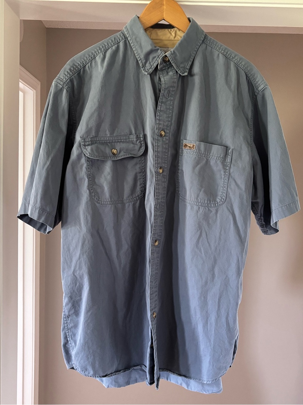 Carhartt Short-Sleeve Button-Down Shirt - Light Blue